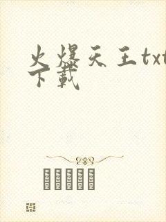 火爆天王txt下载