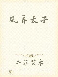 风弄太子封面