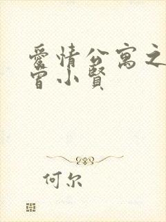 爱情公寓之极品曾小贤