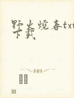 野火烧春txt下载