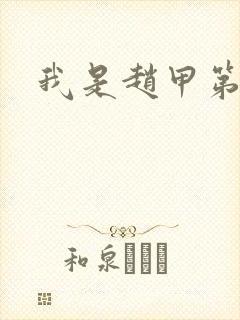 我是赵甲第小说