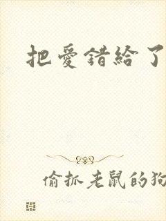 把爱错给了你