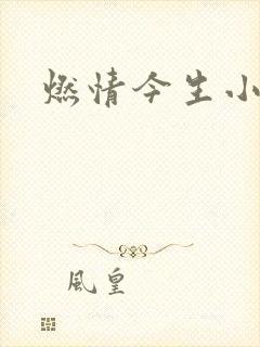燃情今生小说