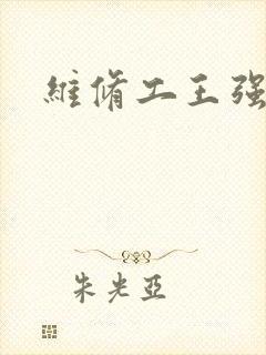 维修工王强张婷