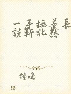 一手抚养长大小说靳北然