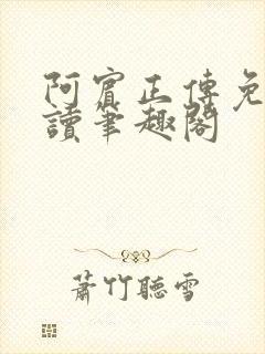 阿宾正传免费阅读笔趣阁