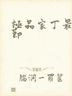 极品家丁最新章节