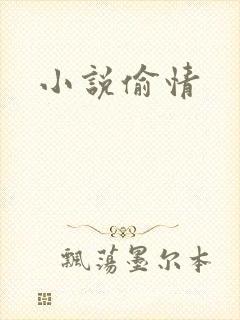 小说偷情