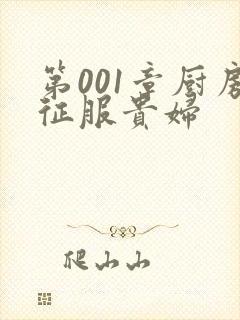 第001章厨房征服贵妇