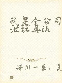 我是全公司的发泄玩具ih