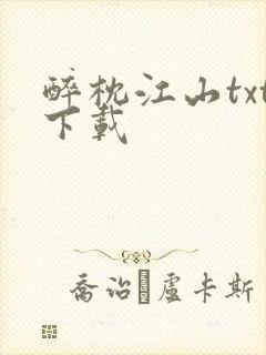 醉枕江山txt下载