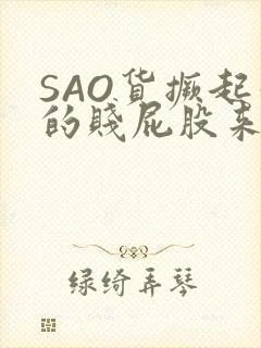 SAO货撅起你的贱屁股来