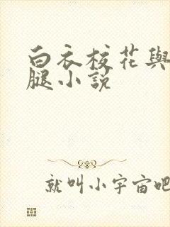 白衣校花与大长腿小说