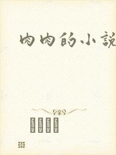 肉肉的小说