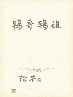 鸨哥鸨姐