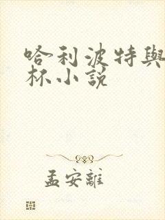 哈利波特与火焰杯小说