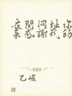 夜间网址你会回来感谢我的