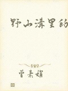 野山沟里的村庄