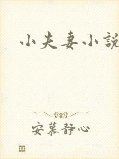 小夫妻小说