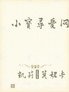 小宝寻爱网