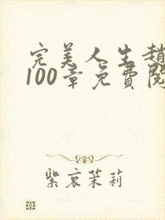 完美人生赵雅玉100章免费阅读