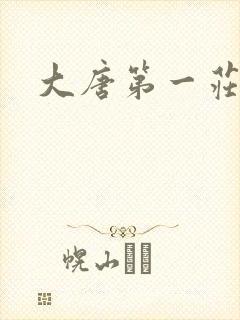 大唐第一庄