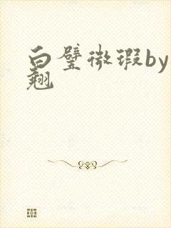 白璧微瑕by连翘