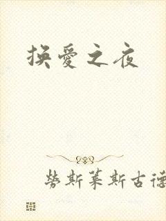 换爱之夜
