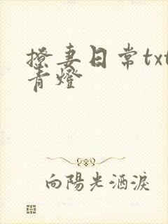 撩妻日常txt青灯