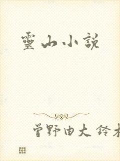 灵山小说
