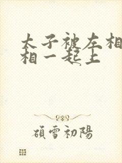 太子被左相和右相一起上