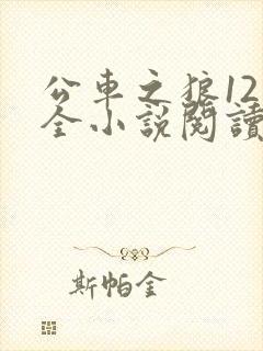公车之狼12集全小说阅读