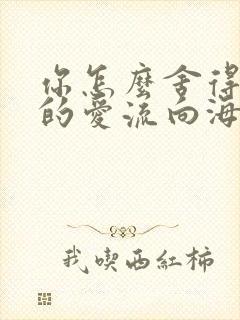 你怎么舍得让我的爱流向海