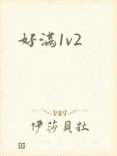 好满1v2