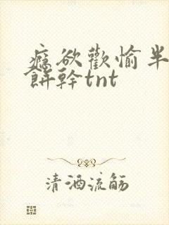 瘾欲欢愉半块小饼干tnt