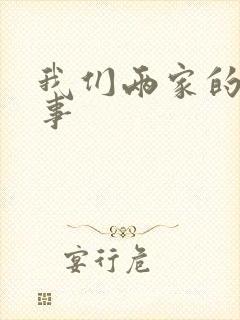 我们两家的荒唐事