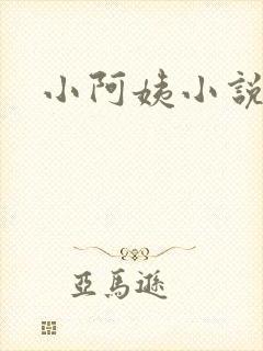小阿姨小说