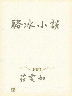 骆冰小说