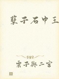 孽子石中玉