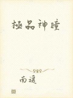 极品神瞳
