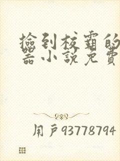 捡到校霸的遥控器小说免费阅读封面