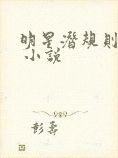 明星潜规则之皇 小说