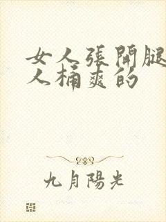 女人张开腿让男人桶爽的