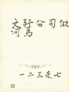 文轩公司做扩张河马