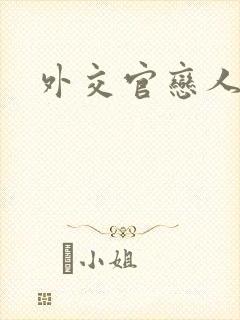 外交官恋人小说