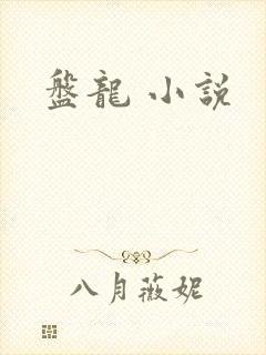 盘龙 小说