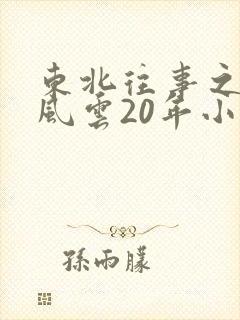 东北往事之黑道风云20年小说