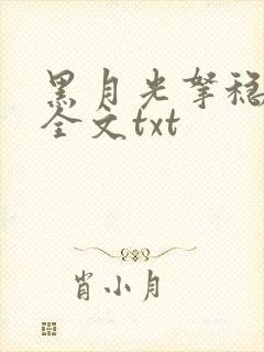 黑月光拿稳小说全文txt