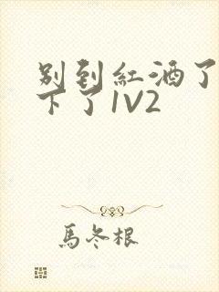 别到红酒了装不下了1V2