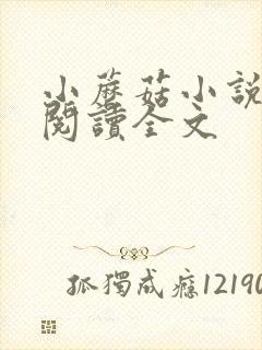 小蘑菇小说免费阅读全文